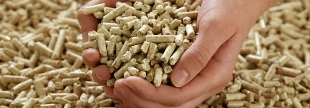Ahşap Pelet